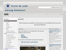 Tablet Screenshot of ej-amweg.ch
